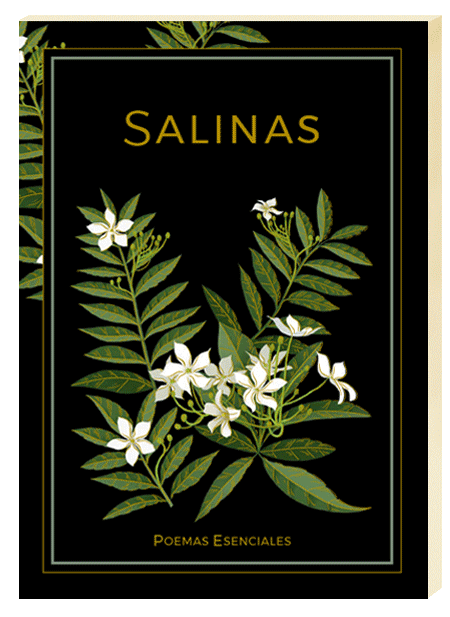 salinas_books